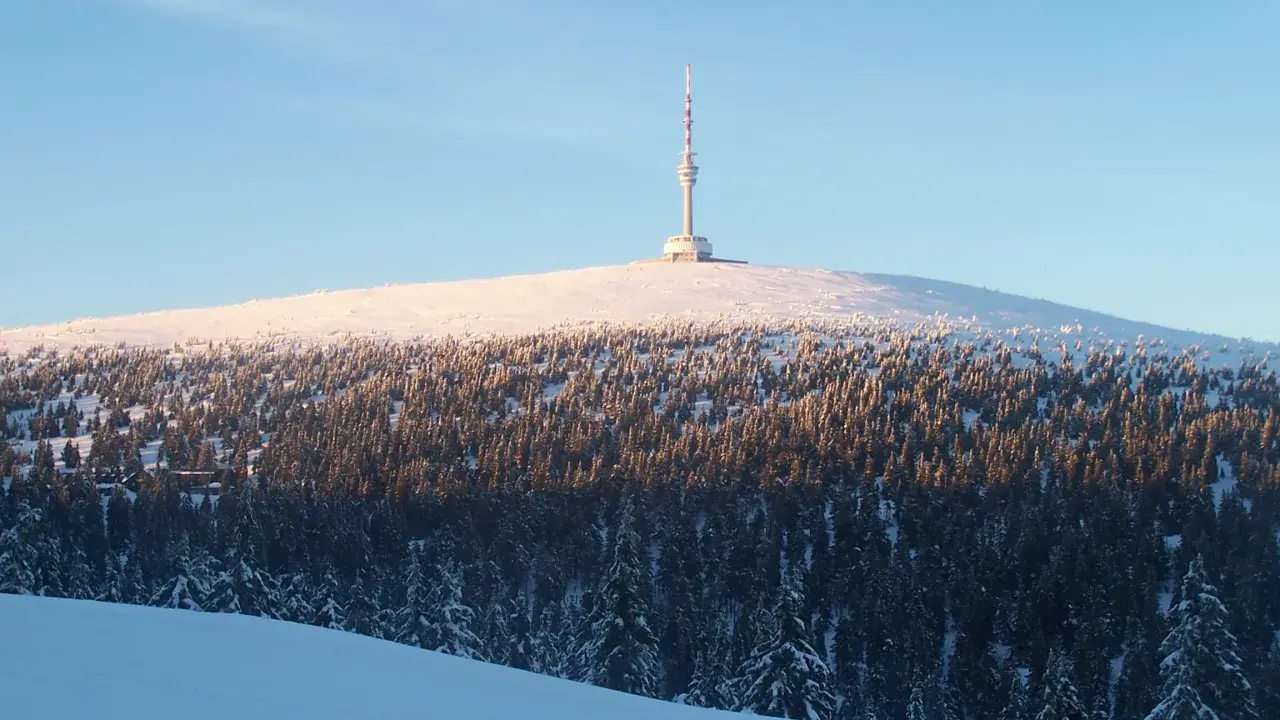 Wieża na ośnieżonym szczycie góry, otoczona lasem iglastym.