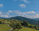 Zielony krajobraz Beskidów z krętą drogą, drzewami i lasem. To jedne z najpiękniejszych szlaków w Beskidach.