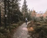 Osoba z dzieckiem w nosidle idzie leśną ścieżką. Obok drzewa znak szlaku turystycznego.