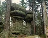 Kamienne grzyby na trasie w Górach Stołowych. Monumentalne formacje skalne w otoczeniu lasu iglastego.