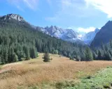 Dolina Kościeliska zachwyca jesiennym krajobrazem. Ile się idzie? Tyle, ile potrzeba, by poczuć spokój gór.