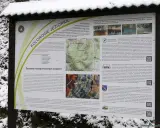 Kolorowe Jeziorka, cztery zbiorniki wodne o niepowtarzalnych barwach w masywie Wielkiej Kopy. Powstały w 1902 r., gdy zamknięto trzy kopalnie pirytu z powodu wyczerpania złoża.
