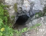 Wejście do Smoczej Jamy w Tatrach, skalna grota otoczona zielenią i zabezpieczona łańcuchem.