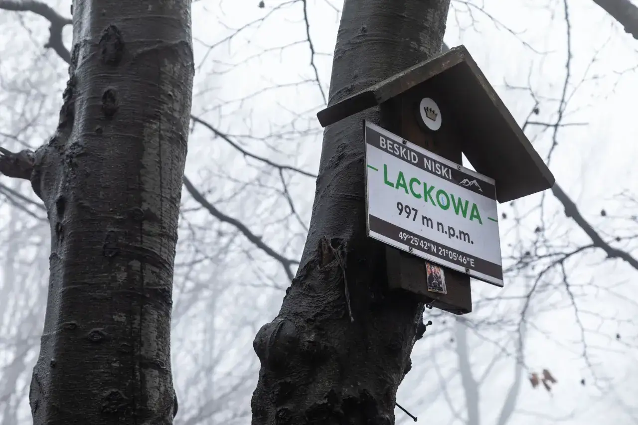Na drzewie w Beskidzie Niskim wisi tabliczka z nazwą Lackowa, 997 m n.p.m. Mglisty dzień dodaje miejscu tajemniczości.