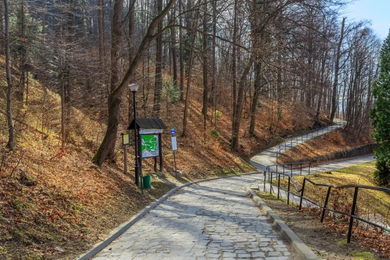 Kamienista góra parkowa trasa w lesie, z tablicą informacyjną i latarnią.
