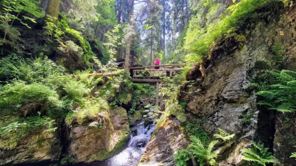 Pradziad szlak wodospadów: dziewczyna na drewnianym mostku nad bystrą rzeką w bujnym, zielonym lesie.