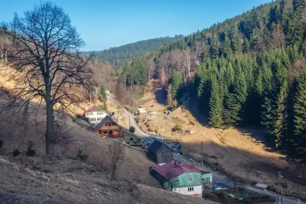 Malownicze domki w górach Sowich, otoczone lasem i wczesnowiosenną przyrodą.